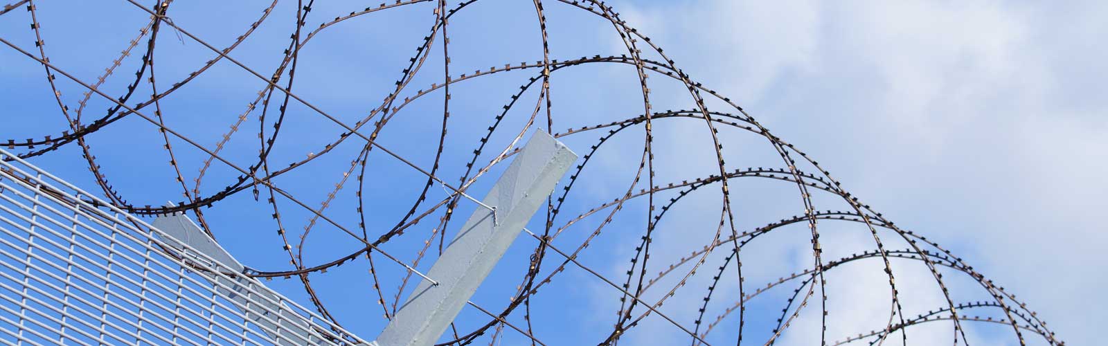 Concertina Wire Concertina Wire