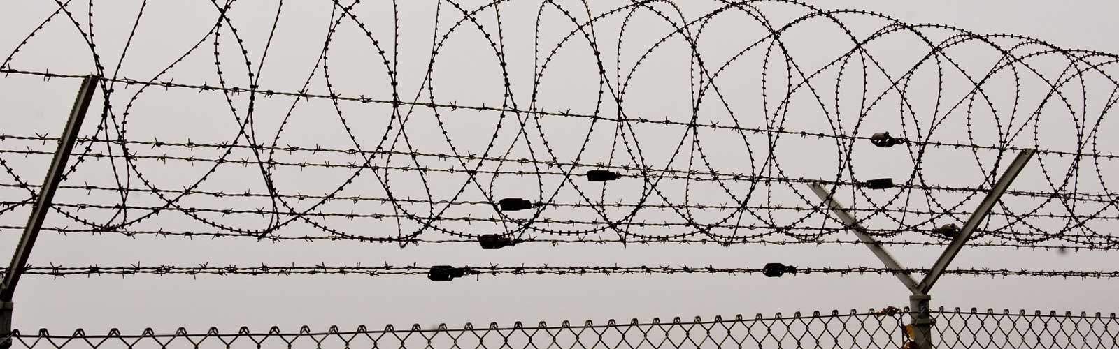 Concertina Wire Concertina Wire